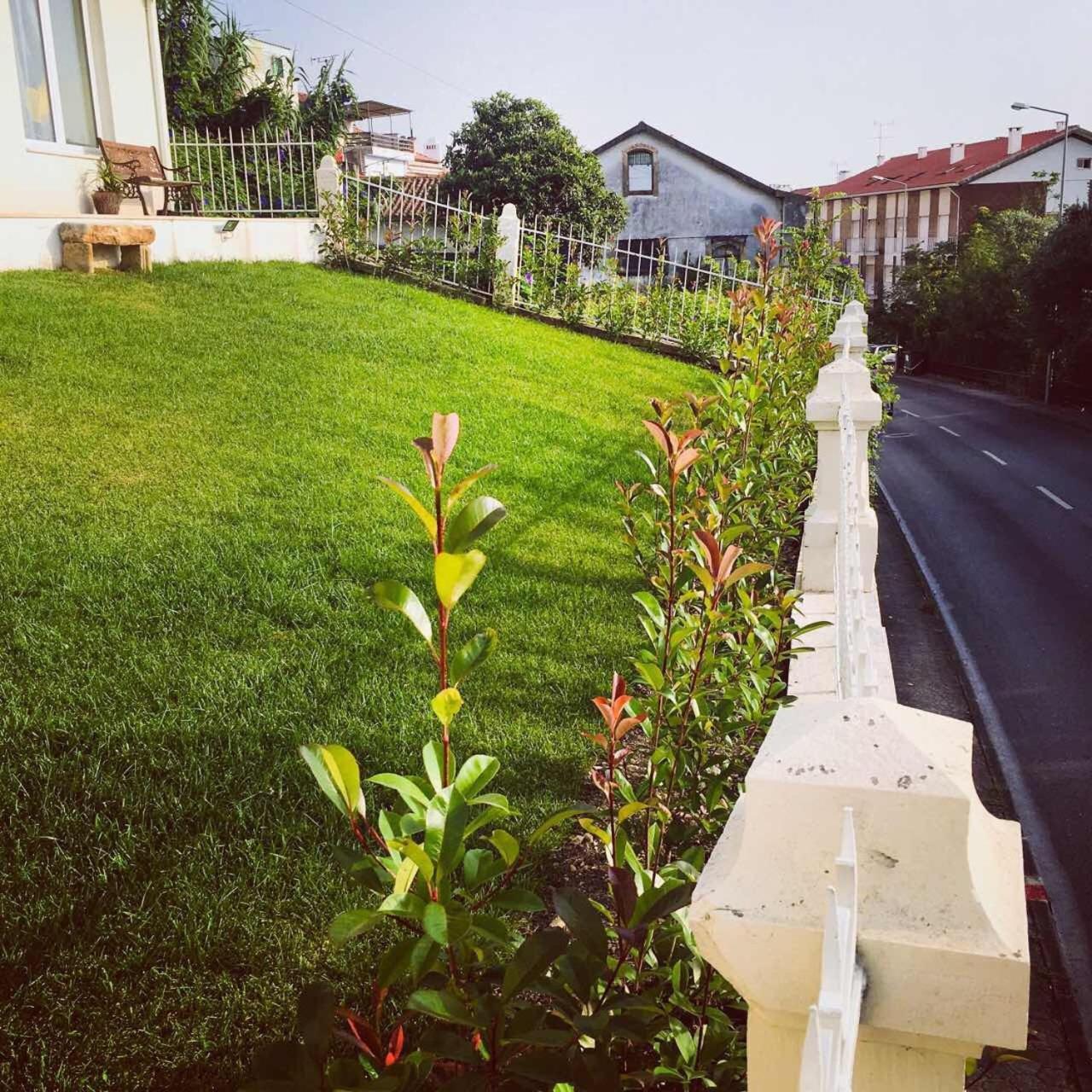Coimbraameias Εξωτερικό φωτογραφία
